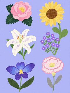 手绘插画风格，纯色背景，画面整体色彩变换，规整排布六个完全不同元素内容的系列花卉素材集合。每朵花都具有清晰的线条勾勒，平滑的色块填充，适度的光影过渡，展现出与原图一致的手绘质感。第一幅是粉色山茶花，花瓣层层叠叠，中心点缀黄色花蕊，搭配深绿色锯齿状叶片；第二幅是黄色小葵花，花盘饱满，放射状排列的黄色花瓣，花盘中心为棕色网格状，带有细长的绿色花茎和心形叶片；第三幅是白色百合花，六片舒展的花瓣，花瓣上有淡紫色斑点，花蕊为橙黄色，花茎细长，伴有披针形绿叶；第四幅是紫色满天星，细小的紫色花朵簇拥成球状，绿色细小花茎
