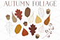 Color + Design Blog / The Colors Of Fall by COLOURlovers :: COLOURlovers