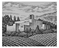 Vineyard Landscape Illustrations by Steven Noble on Behance