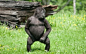 Best wallpapers (trending) - Wallhalla : Best, high quality wallpapers for your desktop and mobile.