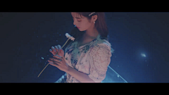 小吉炖蘑菇采集到色彩