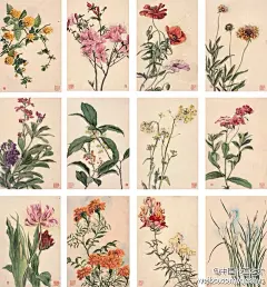 【 陶冷月 1920年作《花卉十二幅》 】 这一组水彩花卉画面冷静客观，细腻写实，与西方自然科学著作中的插图风格相近，应是临摹自原书或是国内翻印的画页。陶冷月的西画技巧，和对形体和色彩的感觉，乃至于观察和表现对象的方式，主要来自自学，极为难能可贵。