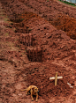 一只狗的主人在土石流中死亡，而这只狗在墓地坐了2天2夜 -里约热内卢