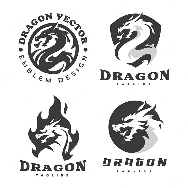 Vector dragon emblem...