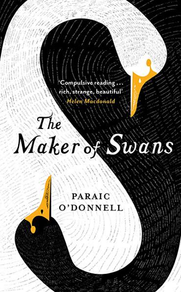 Maker of Swans by Pa...