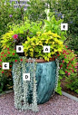 Learn the recipe for this beautiful arrangement, and dozens of other container gardening ideas!