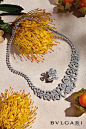 Blossoming between the marvelous monuments of the Eternal City, Fiorever draws inspiration from the alluring four-petal flower cherished by the Romans as a symbol of happiness and joy. A blend of two meaningful words: Fiore - Italian for flower, and forev