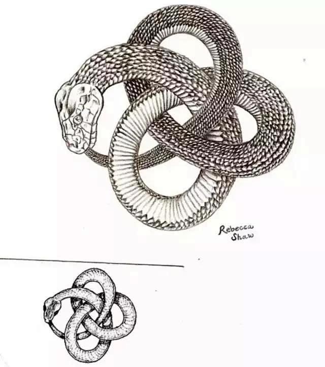 无穷的符号衔尾蛇