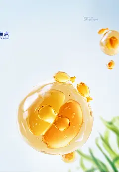成分  DHA