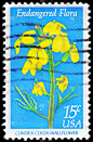 壁花