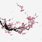 粉色桃花中国风装饰图案 平面电商 创意素材