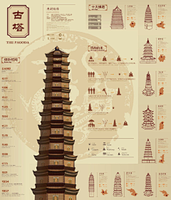 仨不知采集到可参