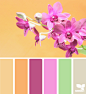 Design Seeds® | find your palette