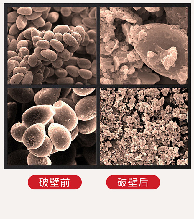 同仁堂破壁灵芝孢子粉胶囊正品0.35g/...