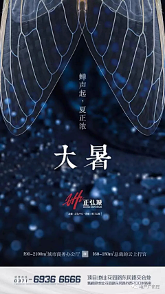 hhZwyUbD采集到医美节日