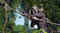 Shroud, Andrei Szasz : Shroud was one of the first characters I did for Fable Legends and it went true quite a few iterations  as the Shadow Archer and it was actually a different stylization of Spike. It used to be the most played characters in the game'