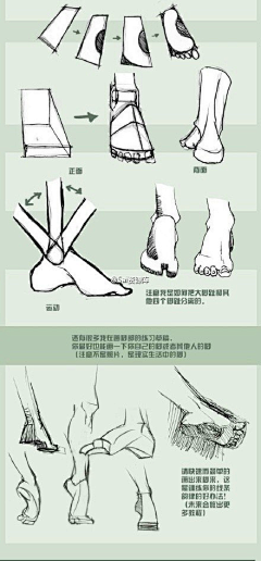 nana治愈插画师采集到【动漫】基础教程