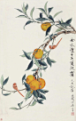 于非闇 · 花鸟欣赏 … 