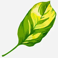 手绘水彩绿叶高清素材 免费下载 页面网页 平面电商 创意素材 png素材