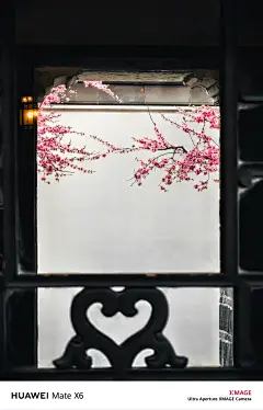 我看到的VS我拍到的｜南京春日壁纸限时上新 - 小红书