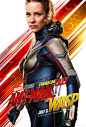 蚁人2：黄蜂女现身 Ant-Man and the Wasp 海报