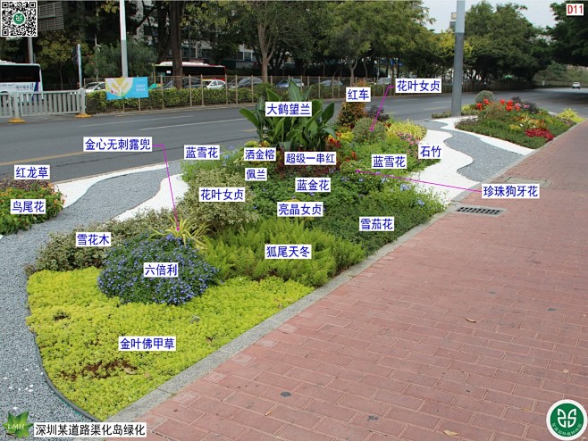 交通岛、道路、花境：深圳道路渠化岛绿化(...