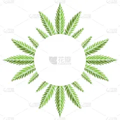 圆形,叶子,绿色,边框,请柬,清新,模板,草,农场