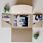 Design Aglow Welcome Packet and medium Kraft Presentation Envelope from @amystonephoto