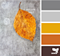 design-seeds、色卡、配色、design-seeds