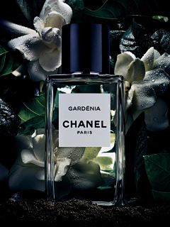 JenniferL采集到Chanel