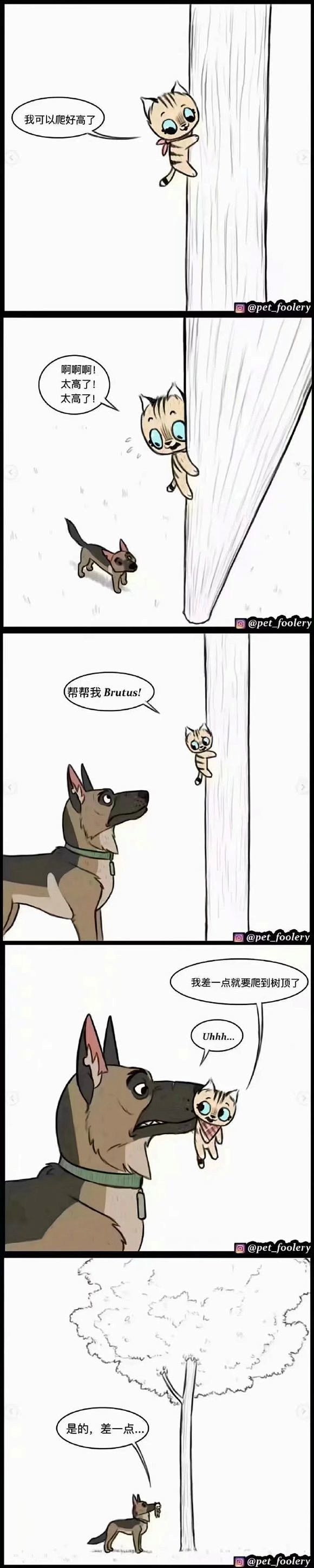 【图片】#漫画# 役军犬和小猫咪的漫画，...