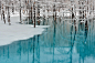 Blue Pond & Spring Snow,Hokkaido
Kent Shiraishi