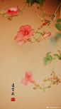 #摄影（花）#
