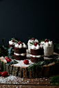 Gingerbread Christmas Mini Cakes (grain-free & vegan)