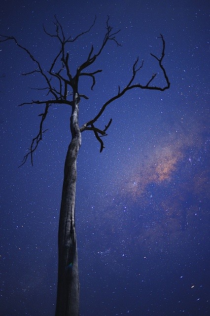 Milky Way / Brisbane...