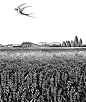 华稀大米插画设计-古田路9号-品牌创意/版权保护平台