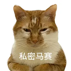 上班什么的 硬撑罢了‖猫咪表情包 - 小红书