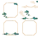 采集图片