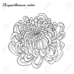 冻柠茶走茶采集到白描图
