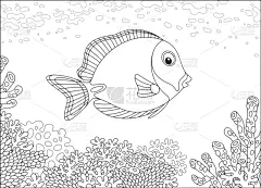 礁石,颊纹鼻鱼,鸡尾酒,图像,海洋,粉蓝颊纹鼻鱼,自然美,Blue Tang Fish,矢量