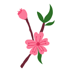 皛九采集到桃花素材