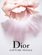 DIOR /