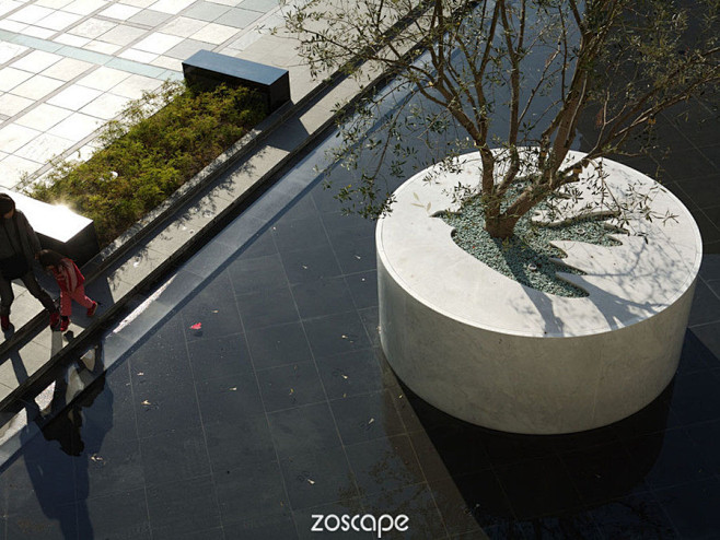 树池设计#树池景观#zoscape#