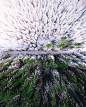 "Rural Ukraine From Above": Spectacular Drone Photography By Nazarii Doroshkevych : Gorgeous aerial shots from rural areas of Ukraine by Nazarii Doroshkevych, talented photographer, retoucher and drone pilot currently based in Kiev. Nazarii trav