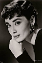 奥黛丽赫本 Audrey Hepburn