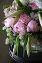 牡丹，绣球花，百合血吸虫