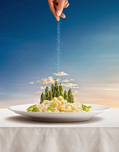 帅航航采集到食物海报