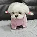 怎么这里也要昵称