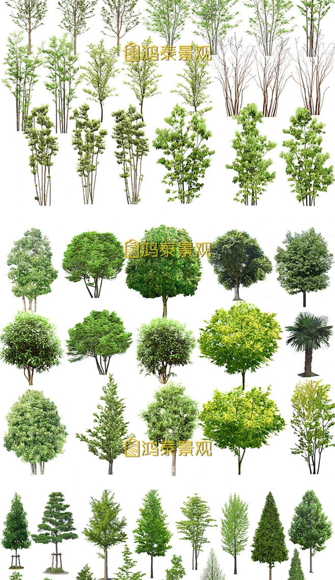 园林景观PSD分层高清植物素材库效果图立面图花草乔木ps绿化资料-淘宝网-花瓣网