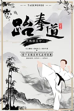 高档跆拳道运动宣传海报